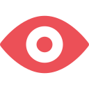 Vision Icon